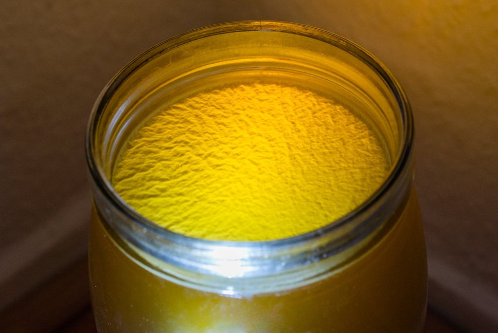 Levure Kahm et Kombucha / Jun – Ce qu’il faut savoir pour l’éviter et s’en débarrasser